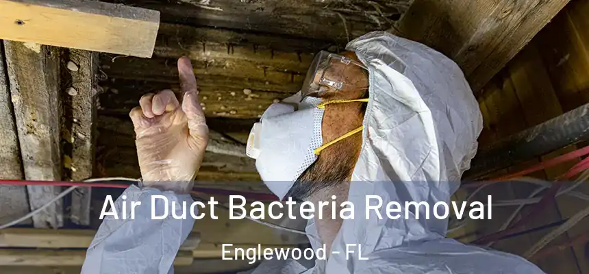 Air Duct Bacteria Removal Englewood - FL