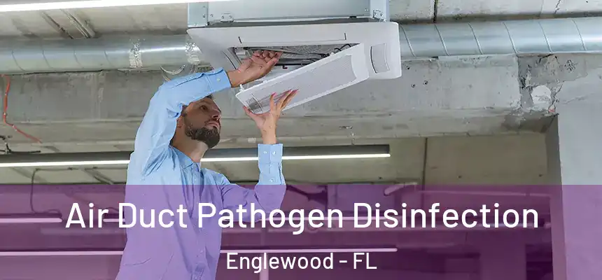  Air Duct Pathogen Disinfection Englewood - FL