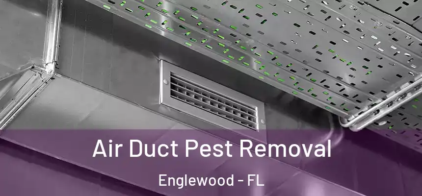 Air Duct Pest Removal Englewood - FL