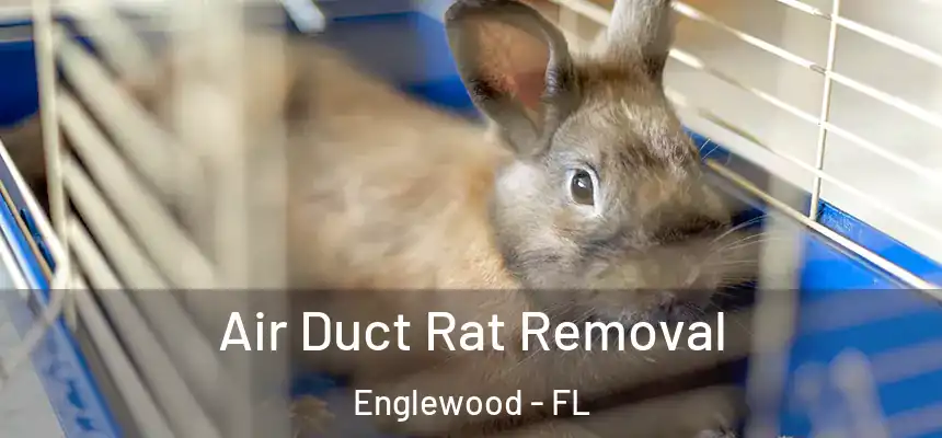 Air Duct Rat Removal Englewood - FL