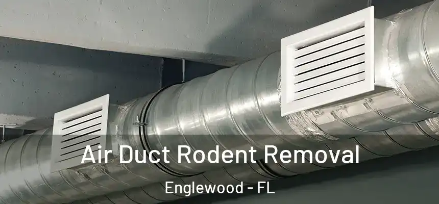 Air Duct Rodent Removal Englewood - FL