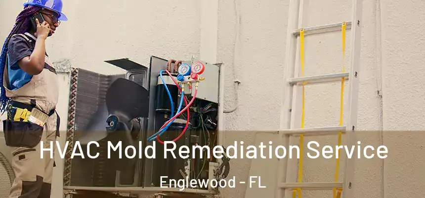  HVAC Mold Remediation Service Englewood - FL