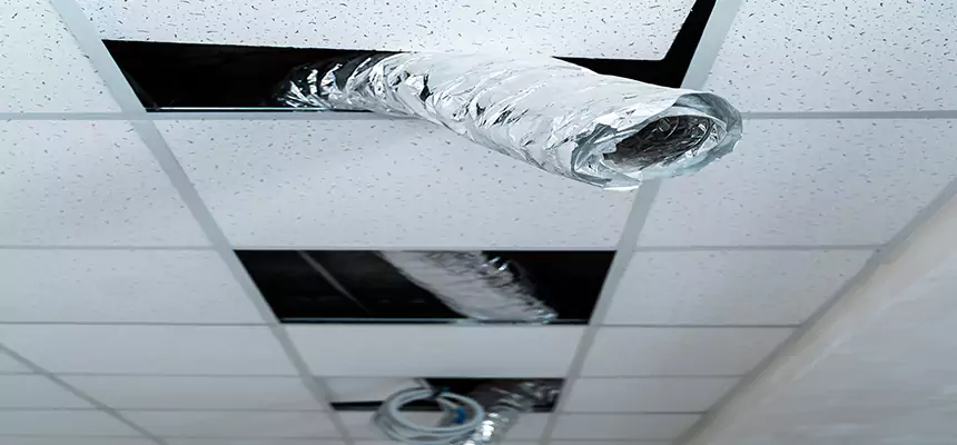 Our Air Duct Pet Hair Removal Services in Englewood, FL