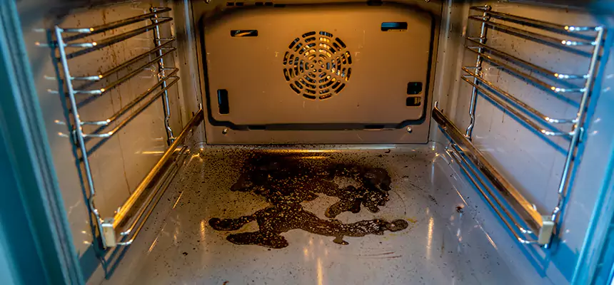 Our Dryer Vent Mold Cleaning Services in Englewood, FL