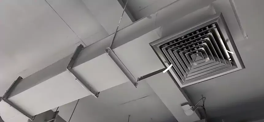 Our Pest Removal From Ducts Services in Englewood, FL