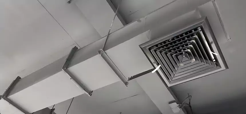 Our Rodent Droppings In Vents Services in Englewood, FL