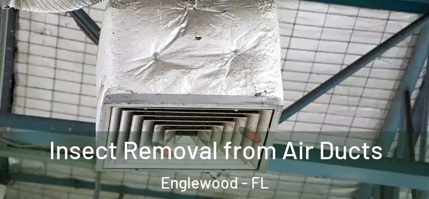  Insect Removal from Air Ducts Englewood - FL