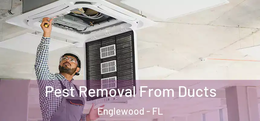  Pest Removal From Ducts Englewood - FL