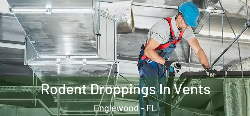  Rodent Droppings In Vents Englewood - FL