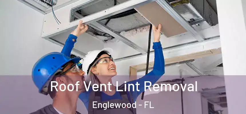  Roof Vent Lint Removal Englewood - FL