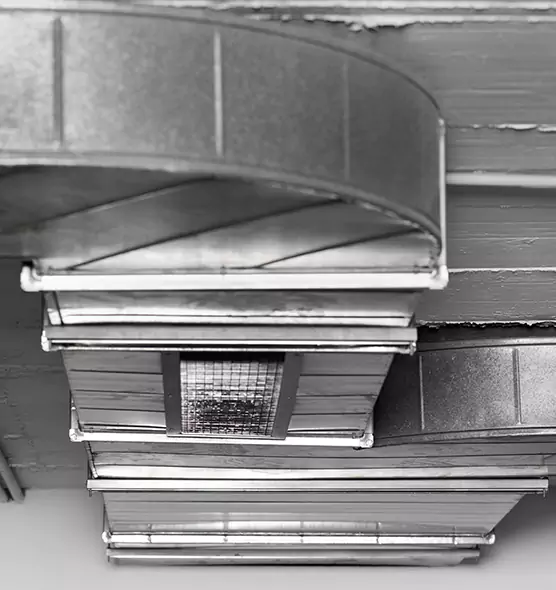 Professional Air Duct Pet Hair Removal in Englewood, FL