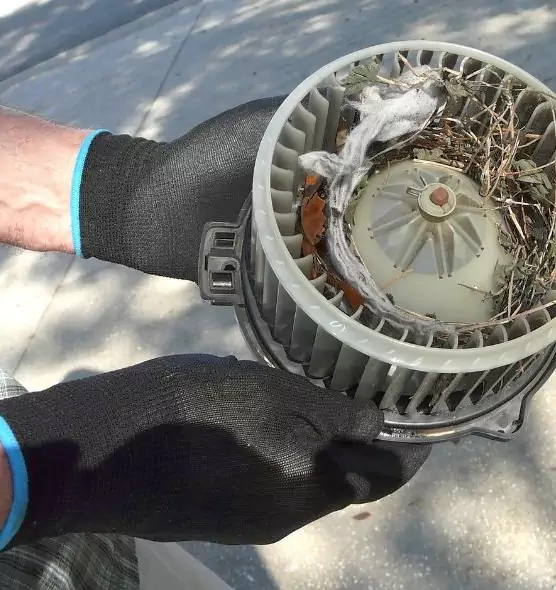 About Air Duct Rat Removal in Englewood, FL