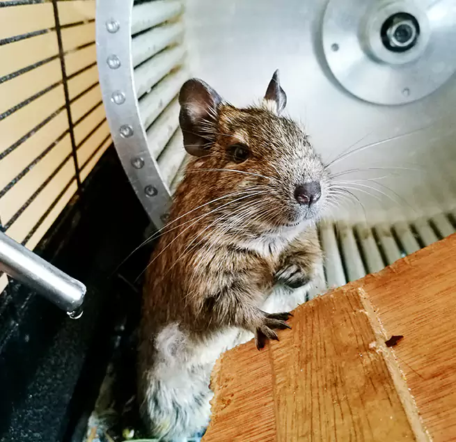 Why Homeowners & Businesses Trust Us Englewood, FL